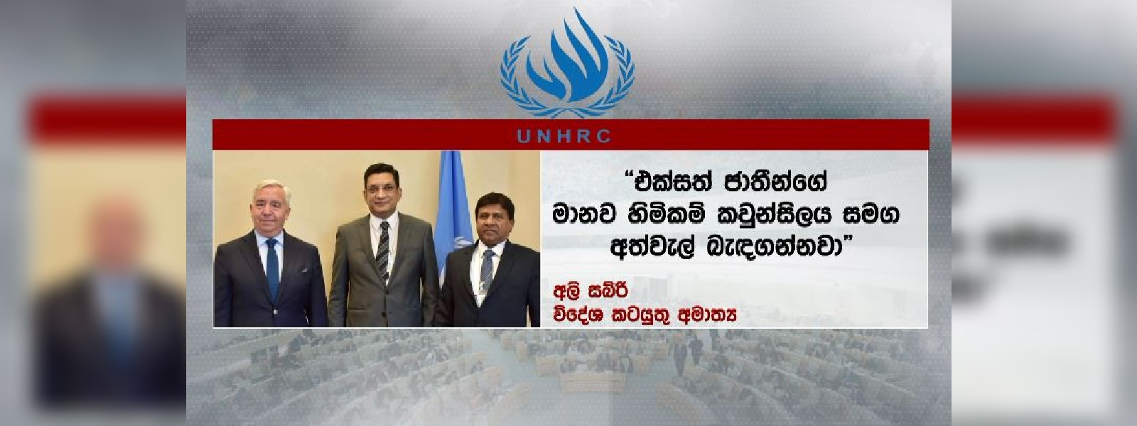 විදේශ ඇමති,අධිකරණ ඇමති UNHRC සභාපති හමුවෙයි