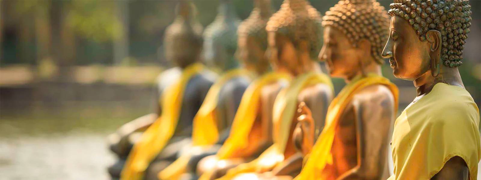 උතුම් වප් පොහොය දිනය අදයි...!
