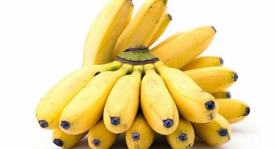 මෙරට ඇඹුල් කෙසෙල් අපනයනය අද සිට: පළමු ඇඹුල් කෙසෙල් තොගය ඩුබායි වෙත..