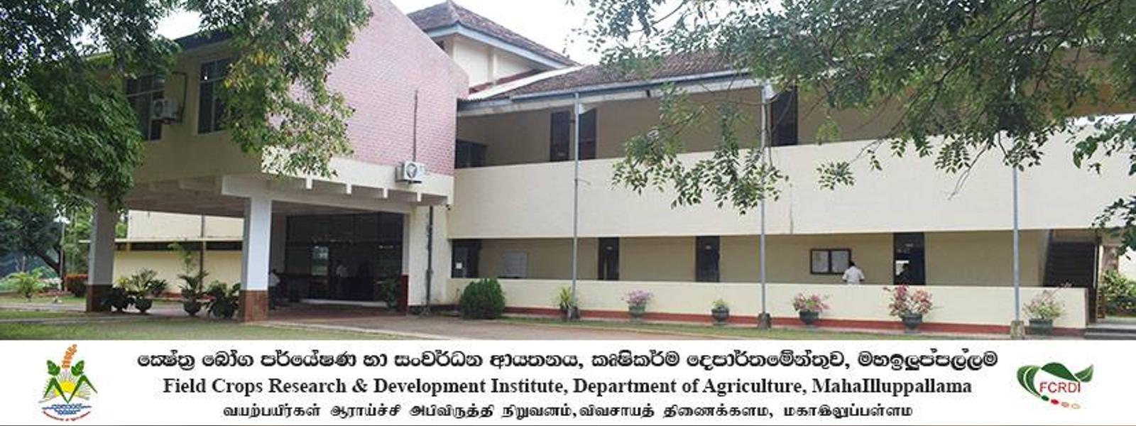 කෘෂිපර්යේෂණායතනයකට පිරිසක් බලහත්කාරයෙන් ඇතුළුවෙයි