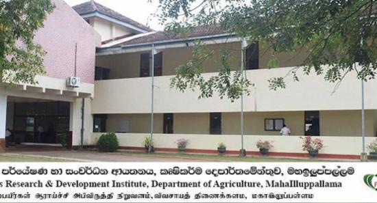 කෘෂිපර්යේෂණායතනයකට පිරිසක් බලහත්කාරයෙන් ඇතුළුවෙයි