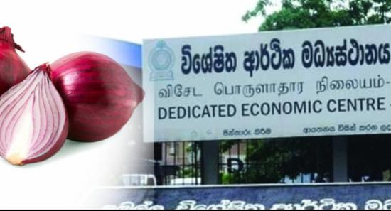 දේශීය සහ ආනයනික ලොකු ළූණු මිල ඉහළට
