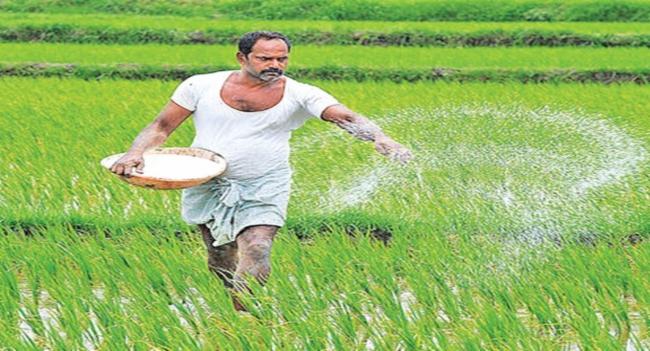 මහ කන්නයට අවශ්‍ය බන්ඩි පොහොර බෙදා දීම හෙට සිට
