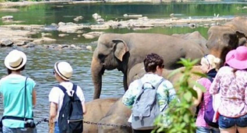 පසුගිය මාසයේදී විදෙස් සංචාරකයින් 59,759 ක මෙරටට