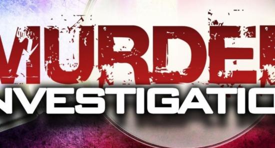 අහංගම තරුණයාගේ ඝාතනයට කාන්තාවක් අත්අඩංගුවට