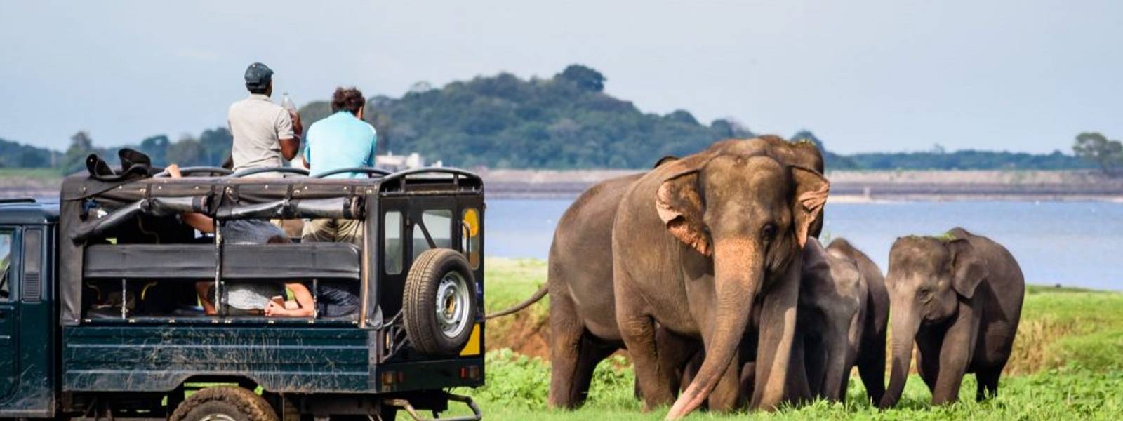 ආර්ථිකයට ඩොලර් උපයා දීමට නව පියවරක්