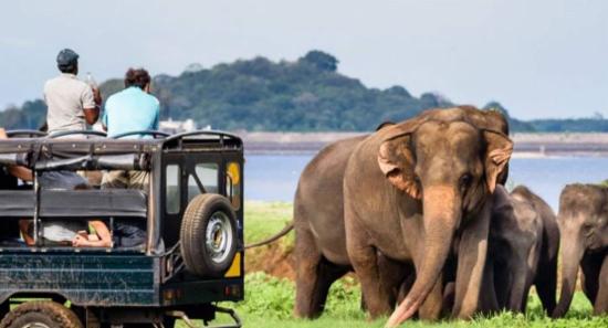 ආර්ථිකයට ඩොලර් උපයා දීමට නව පියවරක්