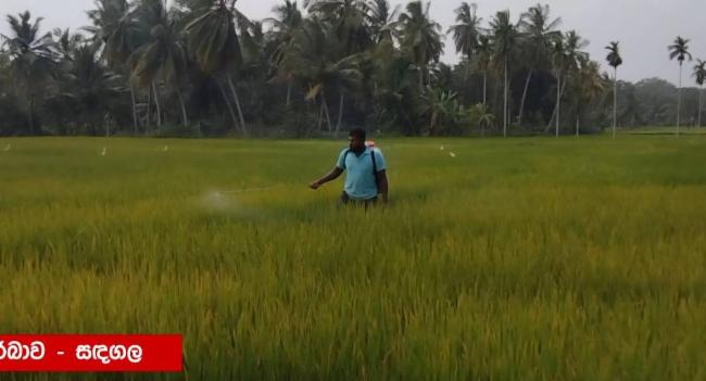ප්‍රතිපත්ති පොලී අනුපාතිකයන්ට අදාළව මහ බැංකුවෙන් නිවේදනයක්