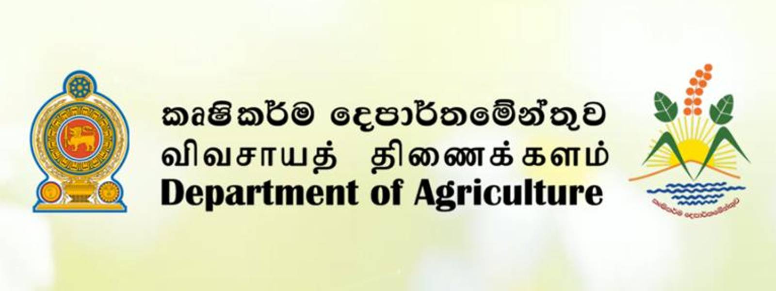 කෘෂිකර්ම දෙපාර්තමේන්තුවට නව අධ්‍යක්ෂ ජනරාල්වරියක්.