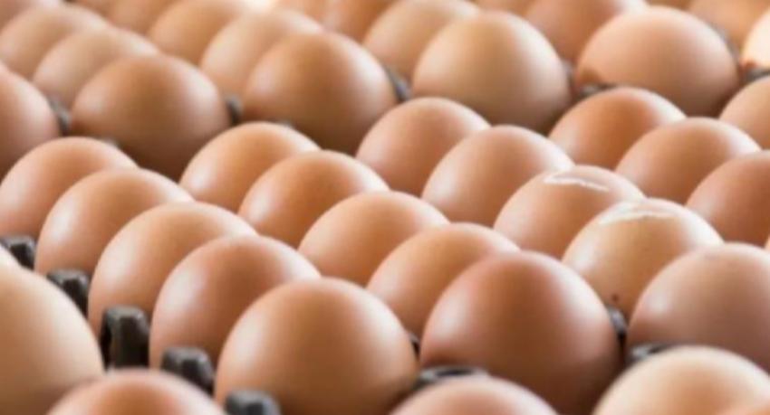 පිට රටින් ගේන බිත්තර රුපියල් 40ට