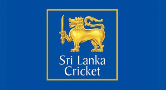 ඉන්දියාව හමුවේ ලැබූ පරාජය ගැන වාර්තාවක් කැඳවයි