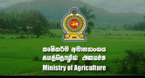 චීනයෙන් ලැබුණු ඉන්ධන බෙදා දීම අද සිට..