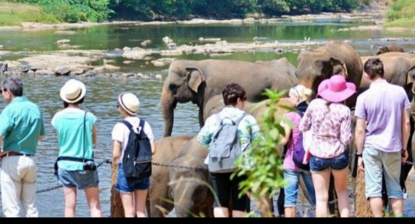 සංචාරකයින්ගේ පැමිණීමේ විශාල වර්ධනයක්