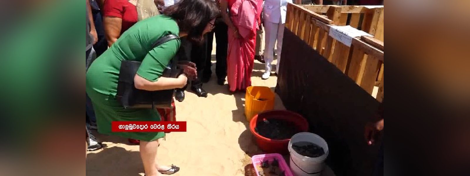 කැස්බෑවුන් බිත්තර දමන ජනාකීර්ණ ගාලු මුවදොර