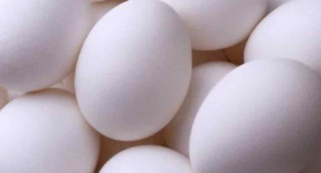 තවත් ඉන්දීය බිත්තර ලක්ෂ 10 ක් දිවයිනට..