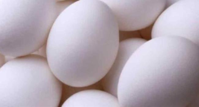 බිත්තර ලක්ෂ 10ක් රැගත් නෞකාවක් කොළඹ වරායට