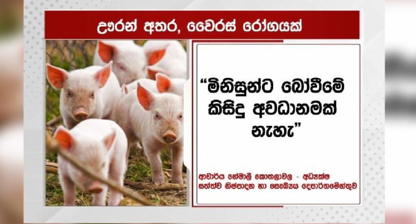 බස්නාහිර ඌරන් අතර වෛරස් රෝගයක්