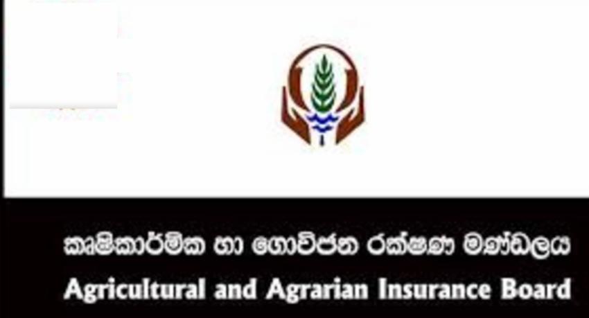 වලවේ ගොවිබිම් අක්කර 13,000ක් විනාශයි..