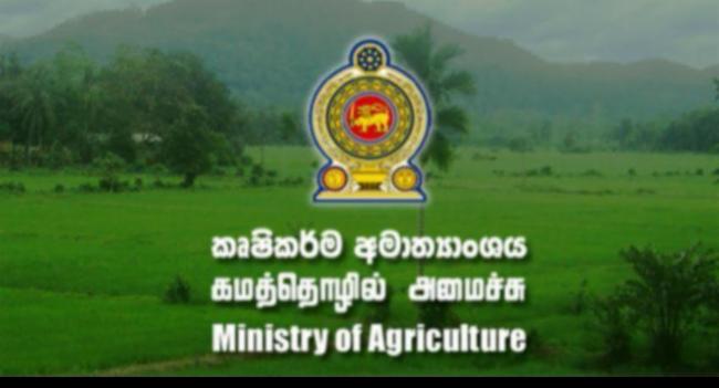 වියළි කාලගුණයෙන් හානිවූ ගොවීන්ට වන්දි