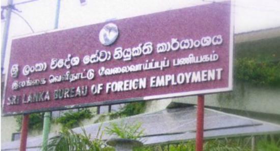 මේ වසර තුළ විද්වත් වෘත්තිකයින් 9300ක් රටින් ගිහින්