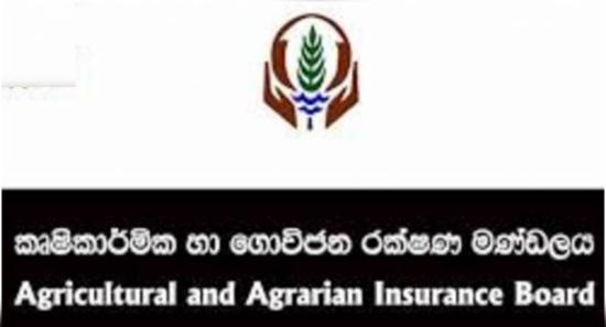 නියඟයෙන් වගා බිම් අක්කර 66,234කට හානි