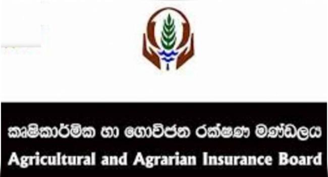 නියඟයෙන් වගා බිම් අක්කර 66,234කට හානි