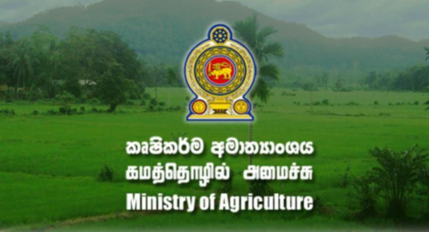 නියඟයෙන් අක්කර 60,503කට හානි..