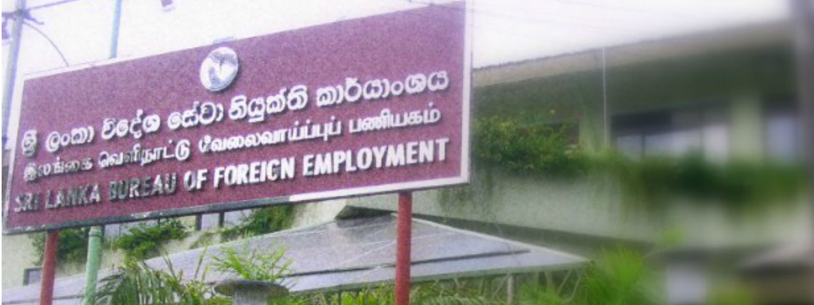 විදේශ රැකියාවලට ගිය සංඛ්‍යාව ලක්ෂ 2 ඉක්මවයි..