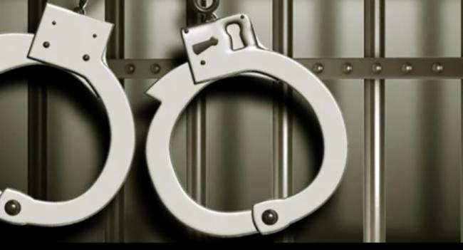 ආගමන විගමන පාලකවරයෙකු අත්අඩංගුවට