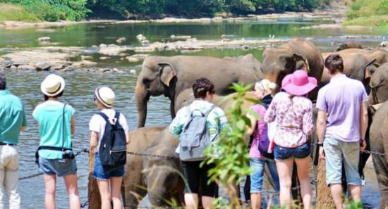 මේ මාසයේ පළමු දින 13 තුළ සංචාරකයින් 59,755ක්