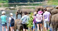 මෙරටට පැමිණ ඇති සංචාරකයින් සංඛ්‍යාව දස ලක්ෂය පනී