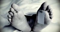 වියානා ඇලට මෝටර් රථයක් පෙරලී දෙදෙනෙකු මරුට..