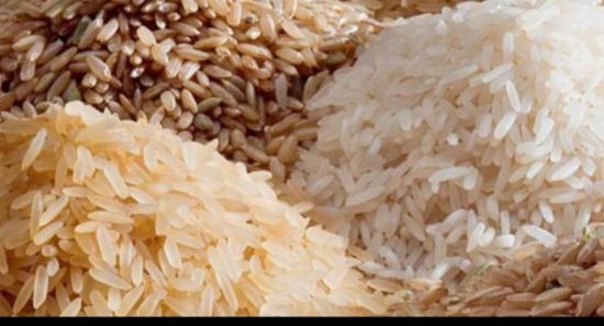 යල කන්නයේ වී මිලඳී ගැනීම හෙට සිට...