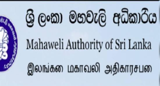 ආයෝජනවලට රජයේ ඉඩම් හඳුනාගැනීමේ සමීක්ෂණයක් ඇරඹෙයි
