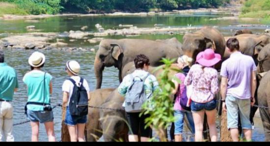 සංචාරක ආදායම ඉහළට..