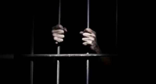 අධිකරණට ව්‍යාජ ගිනිඅවියක් ගෙන ආ කාන්තාවක් රිමාන්ඩ්