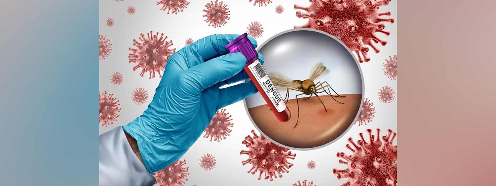 වසරේ පළමු දින දෙක තුළ ඩෙංගු රෝගීන් 581ක්..