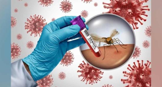 වසරේ පළමු දින දෙක තුළ ඩෙංගු රෝගීන් 581ක්..