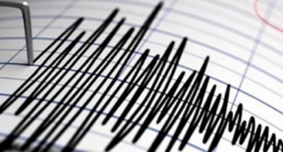 මුලතිව් මුහුදේ සුළු භූ කම්පනයක්