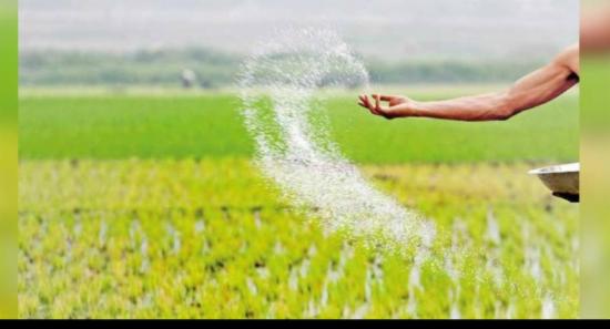 පොහොර සමාගම් සතු පොහොරවලින් 68%ක් රජයට