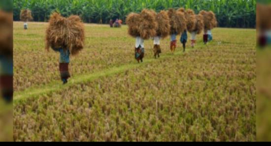 ගොවි ජනතාවට ඉන්ධන ලබාගැනීමට විශේෂ වැඩපිළිවෙළක්!