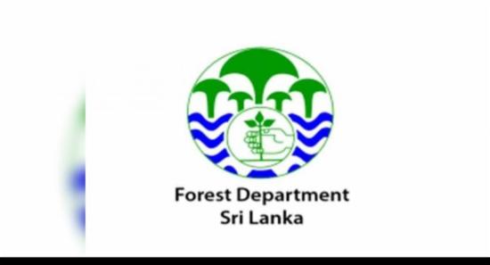 වනාන්තර ගිනි තබන පුද්ගලයින්ට එරෙහිව නීතිමය පියවර..
