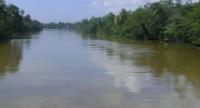 ගංගා කිහිපයක ජල මට්ටම් ඉහළට