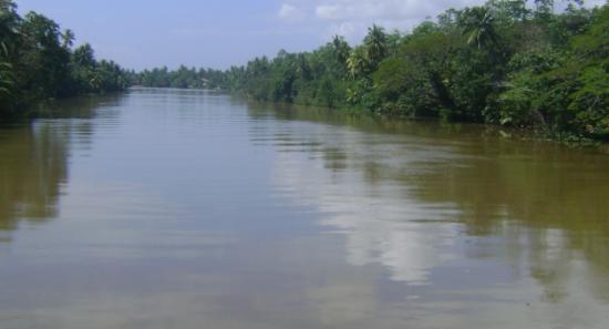 ගංගා කිහිපයක ජල මට්ටම් ඉහළට
