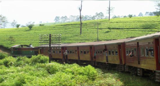 උඩරට දුම්රිය මාර්ගයේ ගමනාගමනයට බාධා...