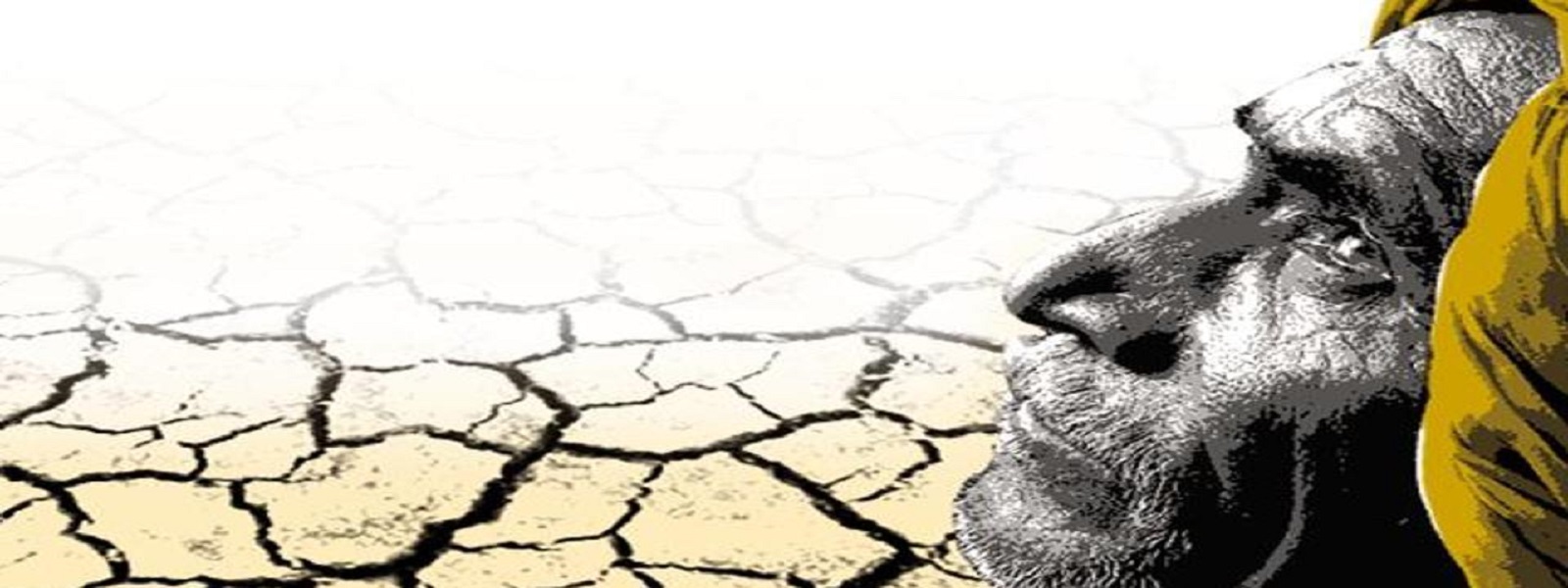 விவசாயிகளுக்கு தலா 60,000 ரூபா நட்டஈடு