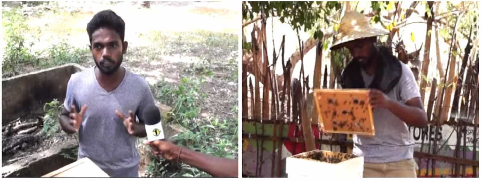தேனீ வளர்ப்பில் சாதித்து வரும் யாழ். இளைஞர்