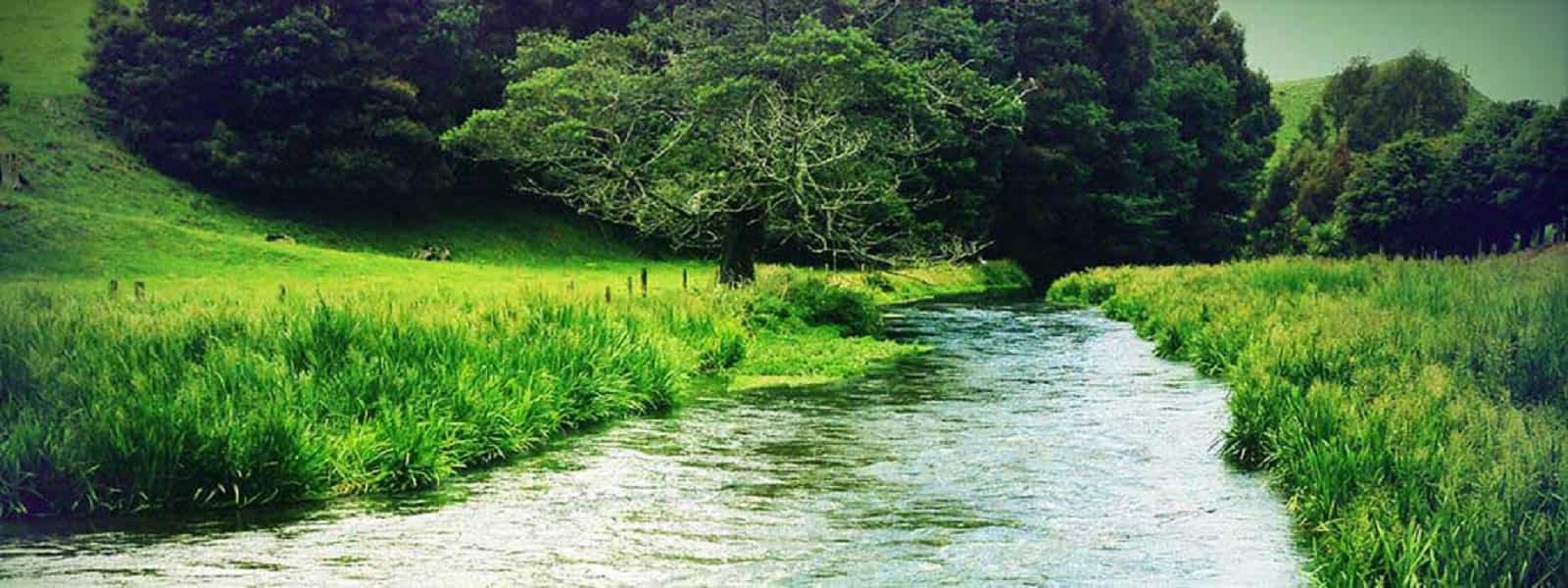 பாரிய அபாயத்தை எதிர்நோக்கியுள்ள மகாவலி கங்கை