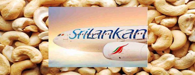 மரமுந்திரிகை விநியோகம் உள்நாட்டு உற்பத்தியாளருக்கு