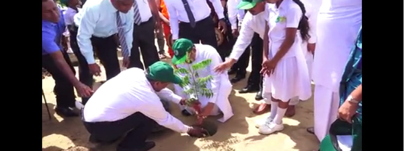 ஜனாதிபதி தலைமையில் மன்னாரில் தேசிய மரநடுகை விழா 